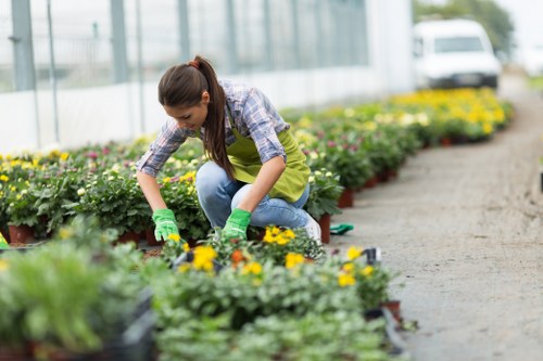 Illustration of a cookie and garden tools beside a policy document