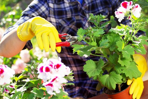 Gardener tending to a raised bed in a Pinner garden