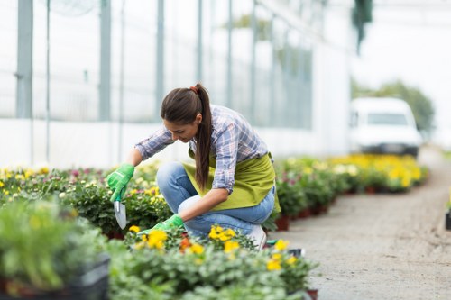 Choosing the right lawn mowing service in Pinner