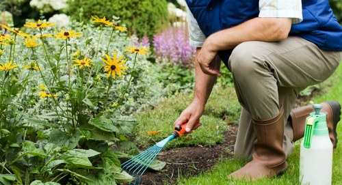Senior manager reviewing an appealed gardening complaint